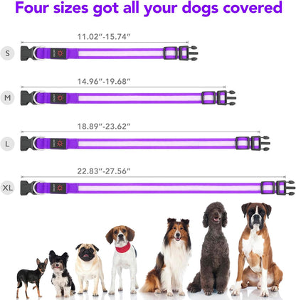 LED Dog Collar, Light up Dog Collar Adjustable Safety Glowing Collar