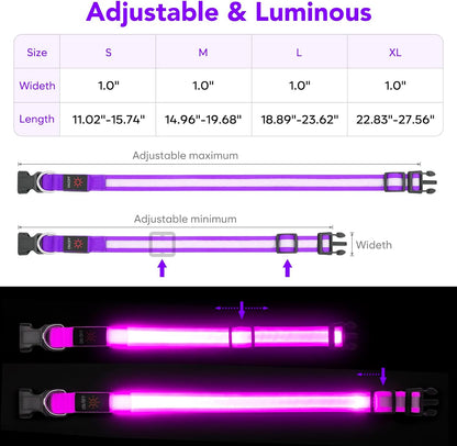 LED Dog Collar, Light up Dog Collar Adjustable Safety Glowing Collar