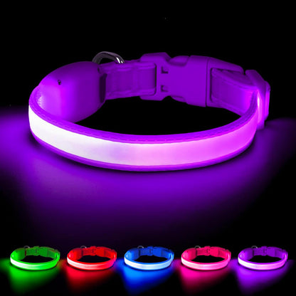 LED Dog Collar, Light up Dog Collar Adjustable Safety Glowing Collar