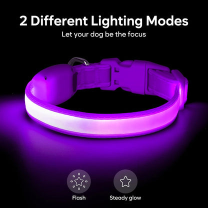 LED Dog Collar, Light up Dog Collar Adjustable Safety Glowing Collar