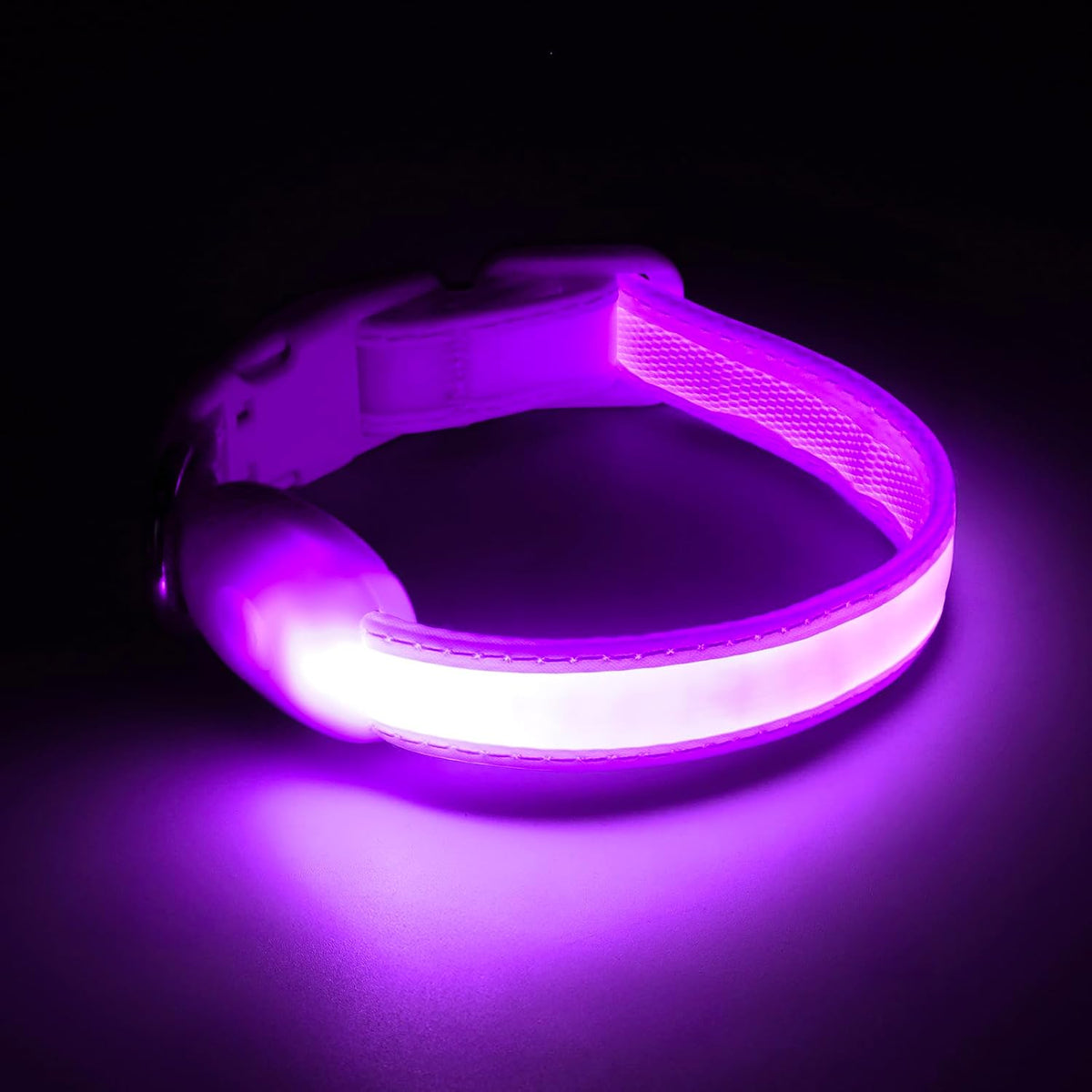 LED Dog Collar, Light up Dog Collar Adjustable Safety Glowing Collar