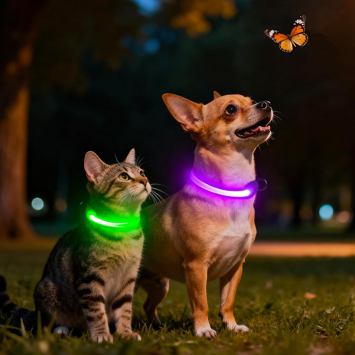 LED Dog Collar, Light up Dog Collar Adjustable Safety Glowing Collar