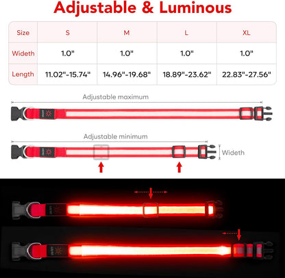 LED Dog Collar, Light up Dog Collar Adjustable Safety Glowing Collar