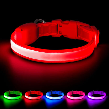 LED Dog Collar, Light up Dog Collar Adjustable Safety Glowing Collar