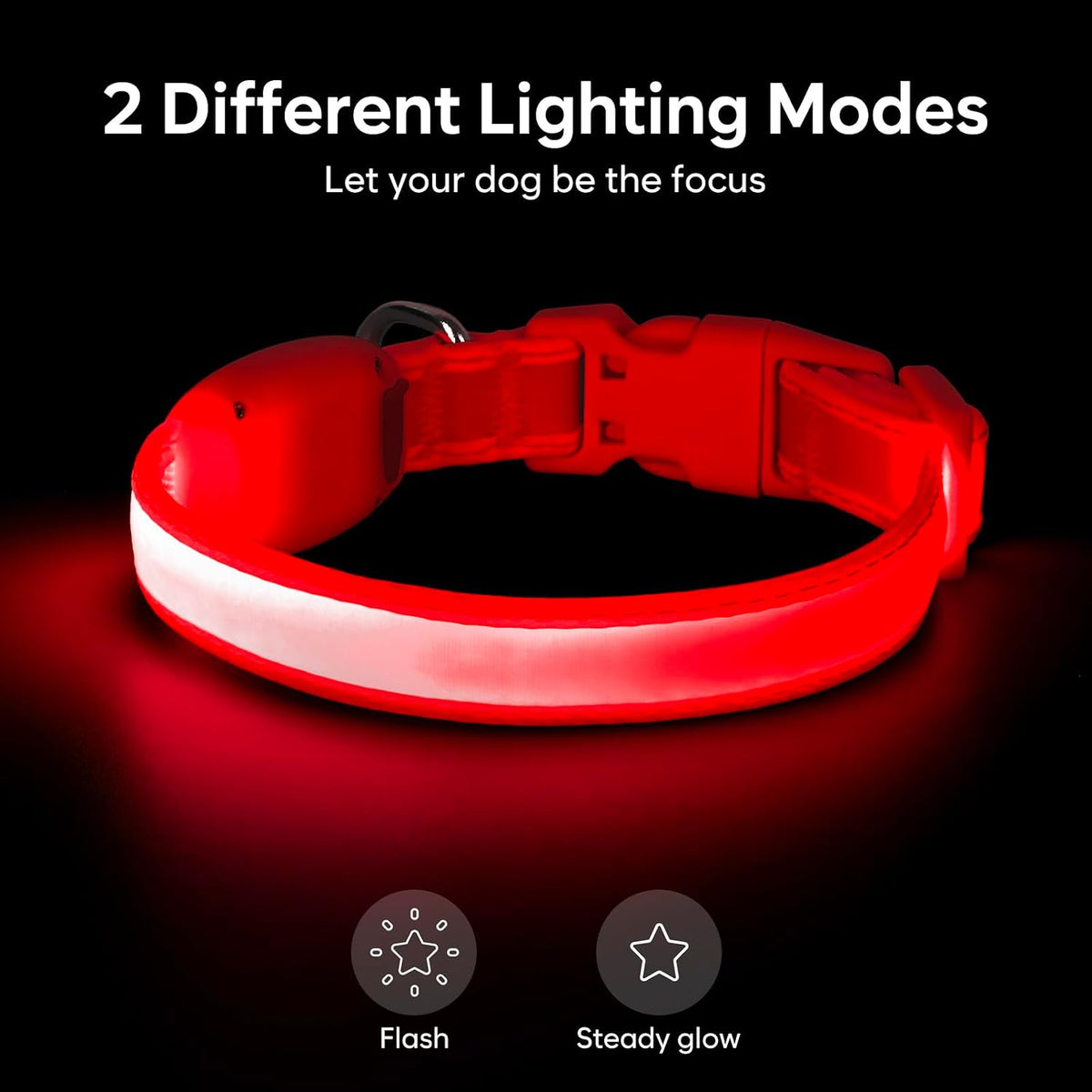 LED Dog Collar, Light up Dog Collar Adjustable Safety Glowing Collar