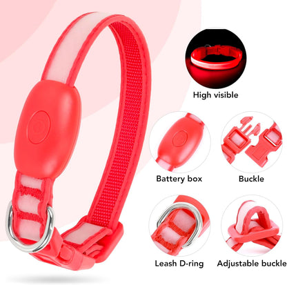LED Dog Collar, Light up Dog Collar Adjustable Safety Glowing Collar