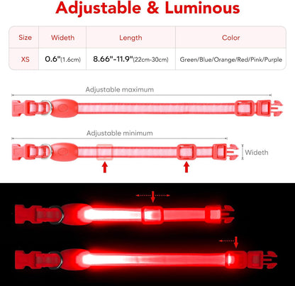 LED Dog Collar, Light up Dog Collar Adjustable Safety Glowing Collar