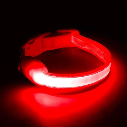 LED Dog Collar, Light up Dog Collar Adjustable Safety Glowing Collar