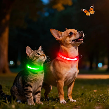 LED Dog Collar, Light up Dog Collar Adjustable Safety Glowing Collar