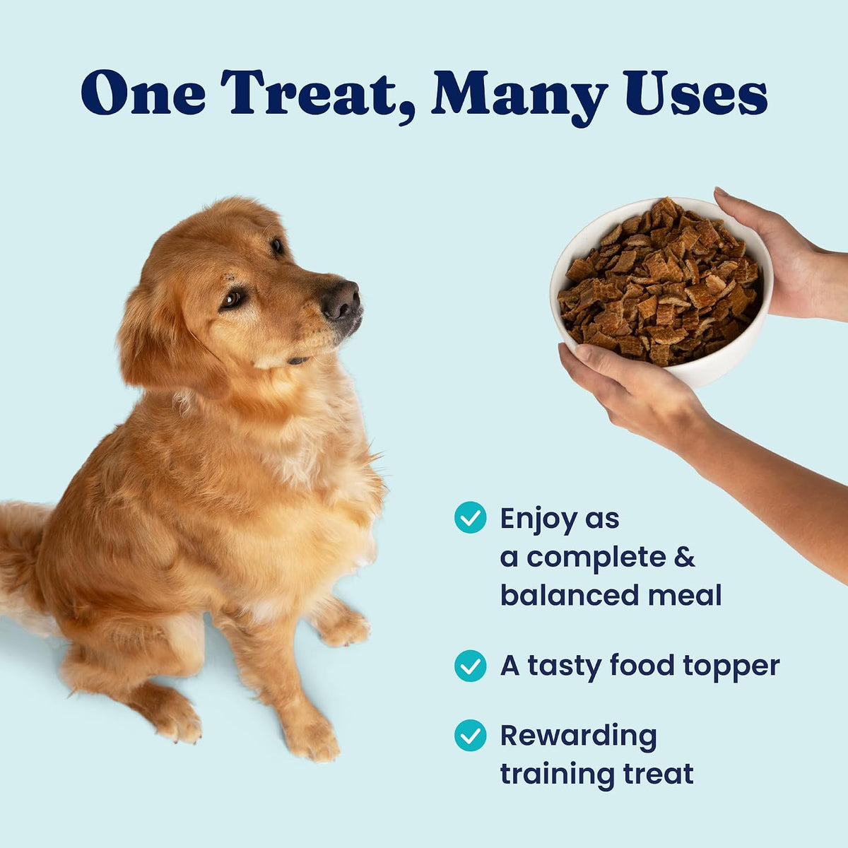 Solid Gold Air Dried Dog Food Topper & Treats for Picky Eaters, Beef, 1lb