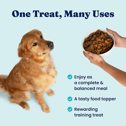 Solid Gold Air Dried Dog Food Topper & Treats for Picky Eaters, Beef, 1lb