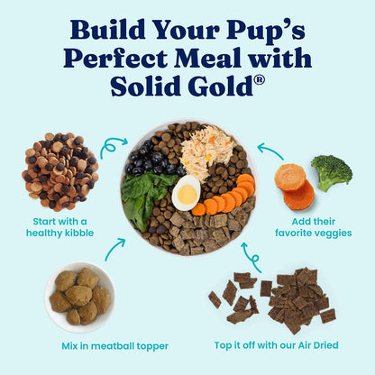 Solid Gold Air Dried Dog Food Topper & Treats for Picky Eaters, Beef, 1lb