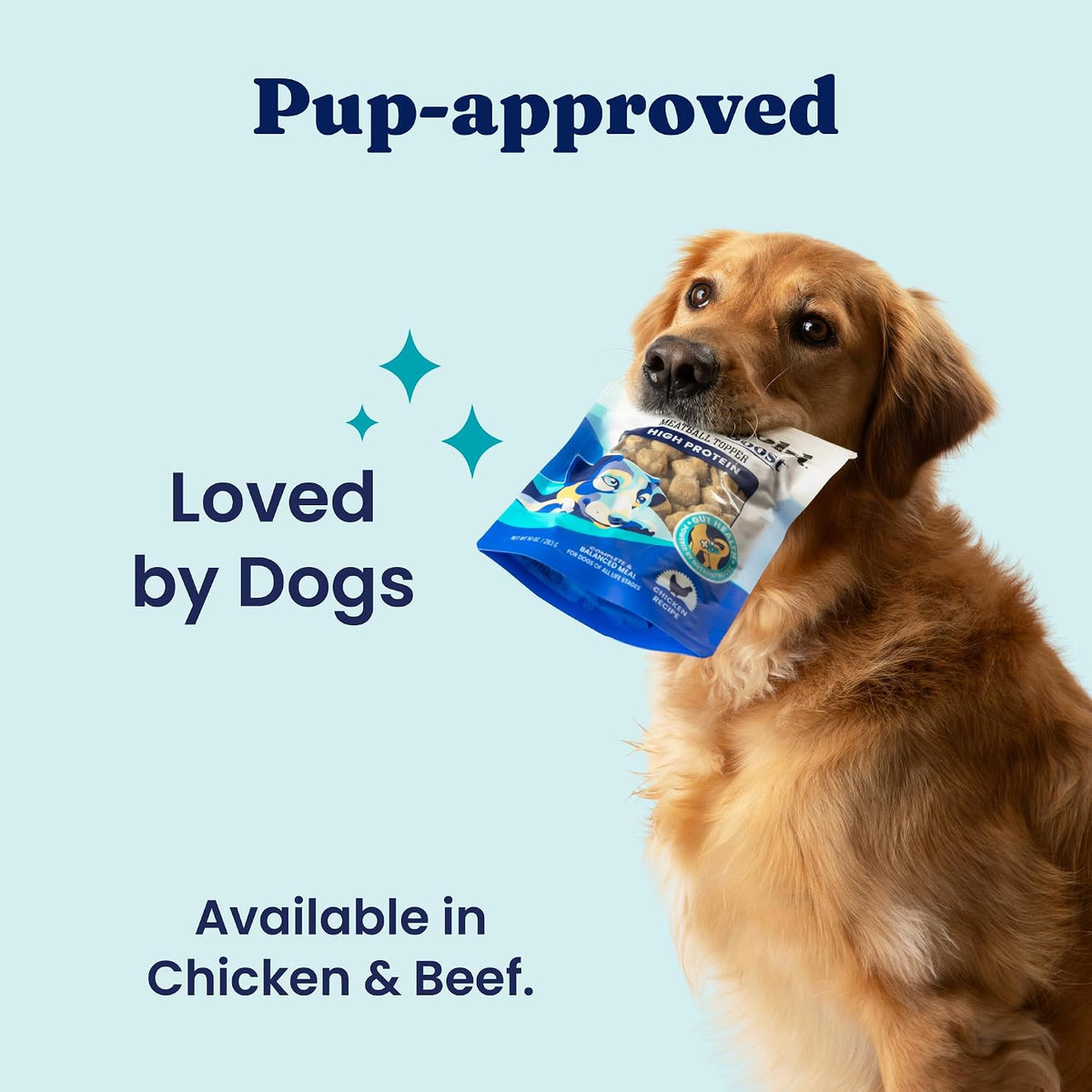 Solid Gold Air Dried Dog Food Topper & Treats for Picky Eaters, Beef, 1lb