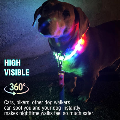 Light Up Dog Collar, Multicolor LED Glow Collar for Safety Night Walking