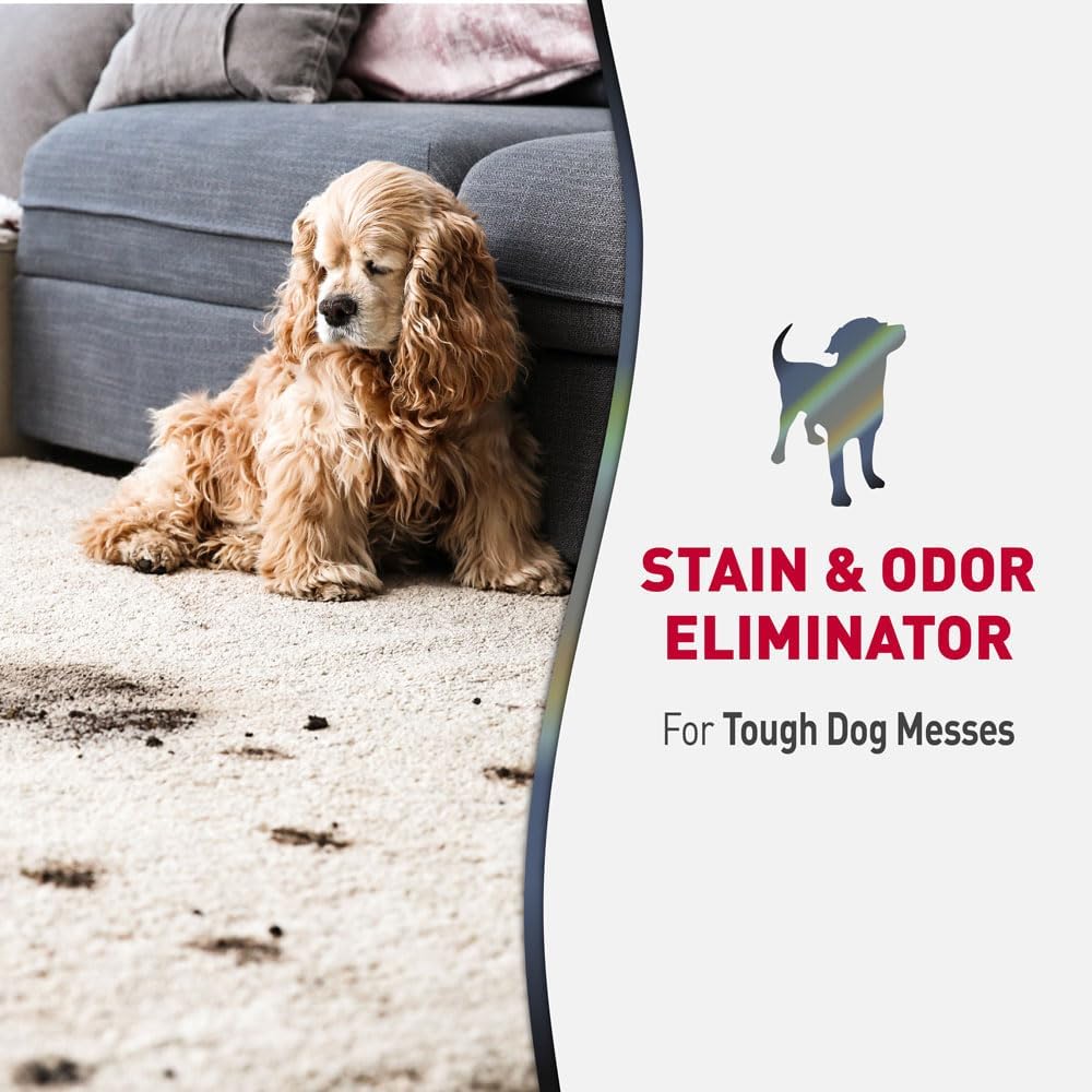 Advanced Dog Stain & Odor Eliminator, Severe Mess, 1 gal
