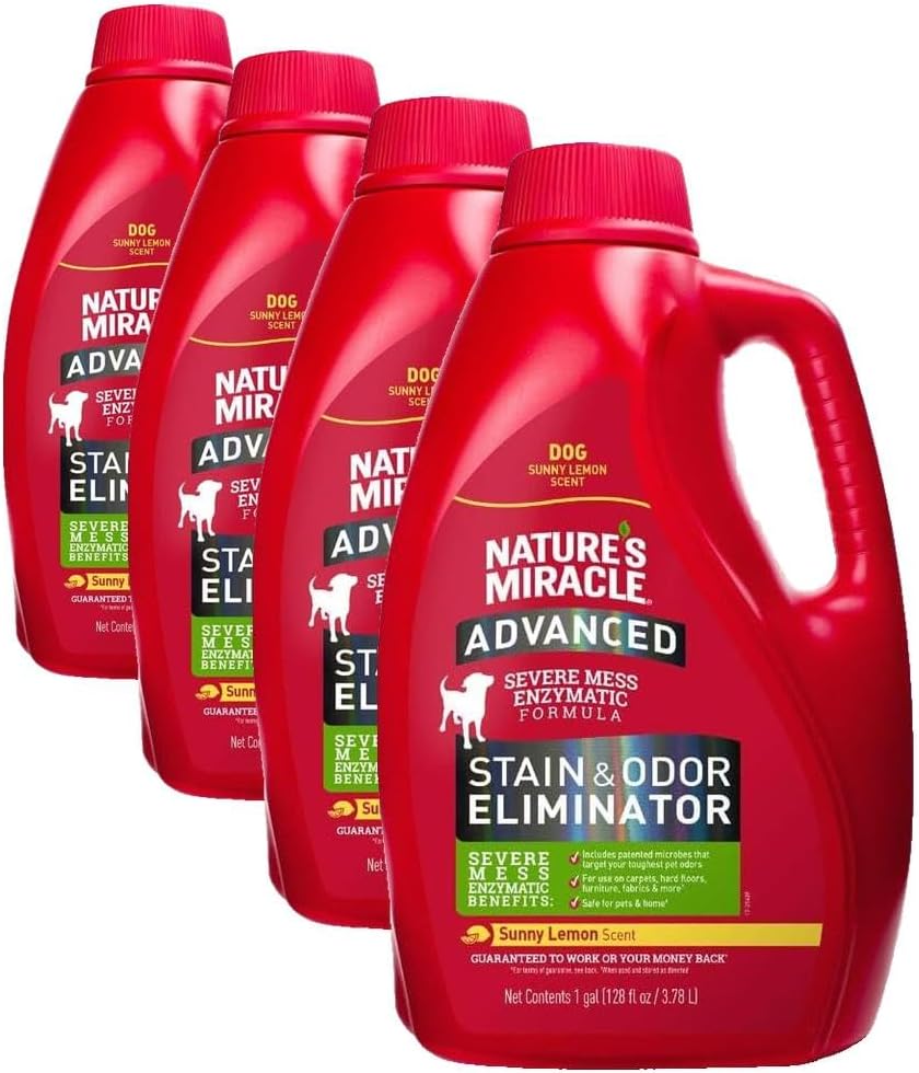 Advanced Dog Stain & Odor Eliminator, Severe Mess, 1 gal