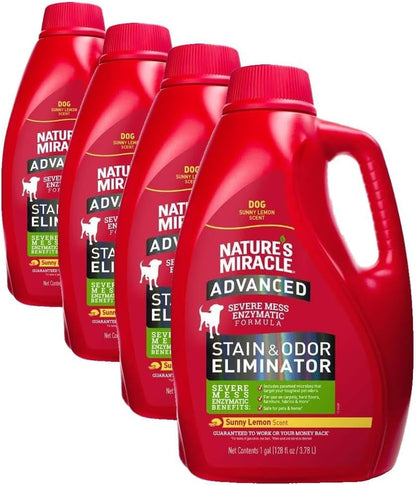 Advanced Dog Stain & Odor Eliminator, Severe Mess, 1 gal