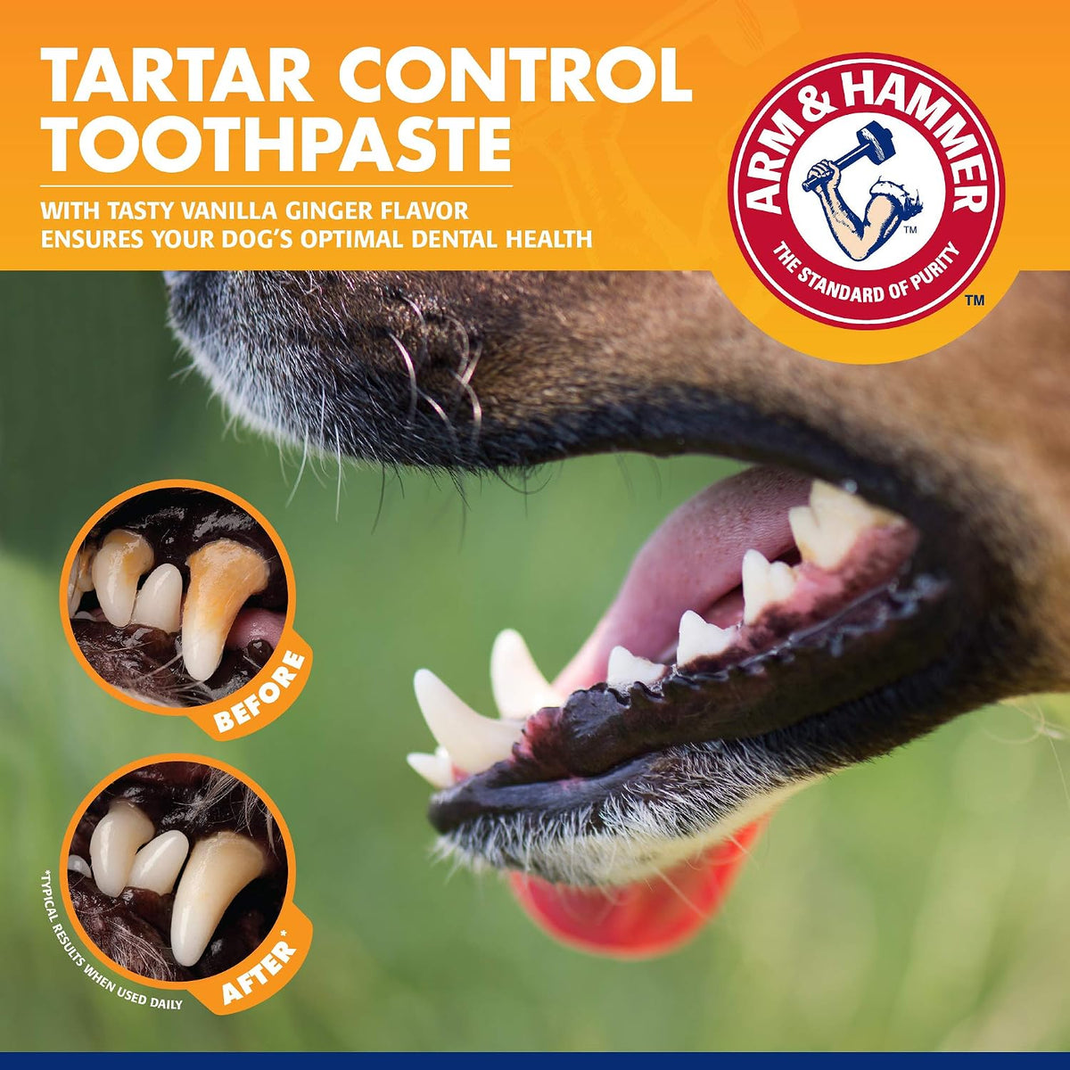 Tartar Control Dog Dental Kit, Banana Mint, 3-Piece | Enzymatic toothpaste with toothbrush and fingerbrush, baking soda formula safe for puppies