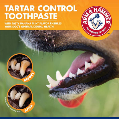Tartar Control Dog Dental Kit, Banana Mint, 3-Piece | Enzymatic toothpaste with toothbrush and fingerbrush, baking soda formula safe for puppies