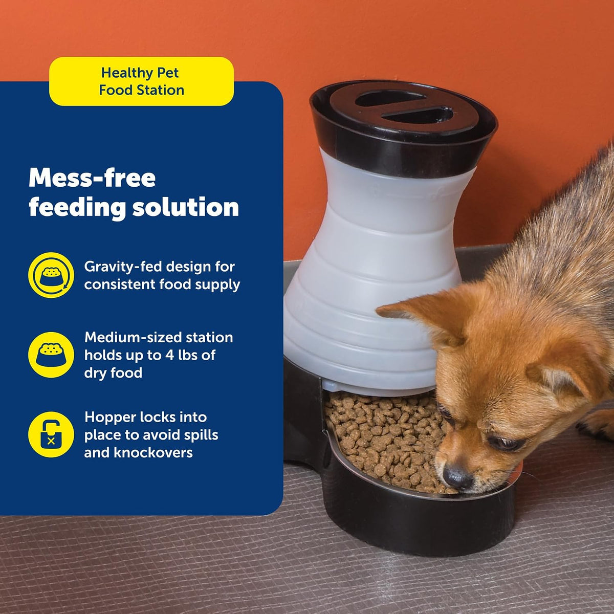 Healthy Pet Food Station, 4 lb Gravity Feeder, Cats & Dogs, Medium