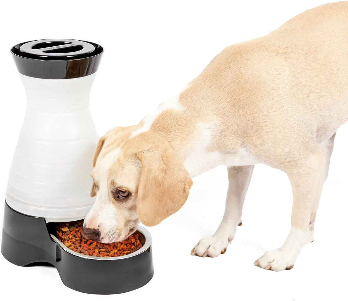 Healthy Pet Food Station, 4 lb Gravity Feeder, Cats & Dogs, Medium