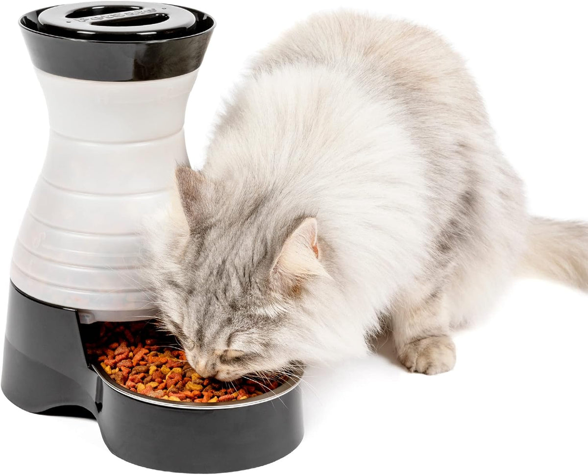 Healthy Pet Food Station, 4 lb Gravity Feeder, Cats & Dogs, Medium