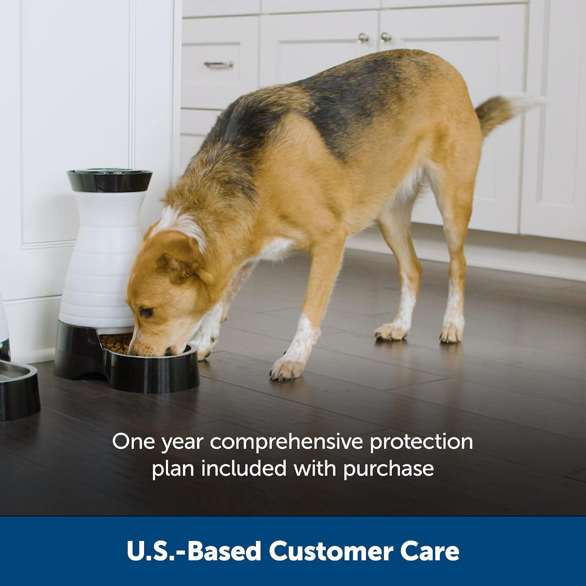 Healthy Pet Food Station, 4 lb Gravity Feeder, Cats & Dogs, Medium