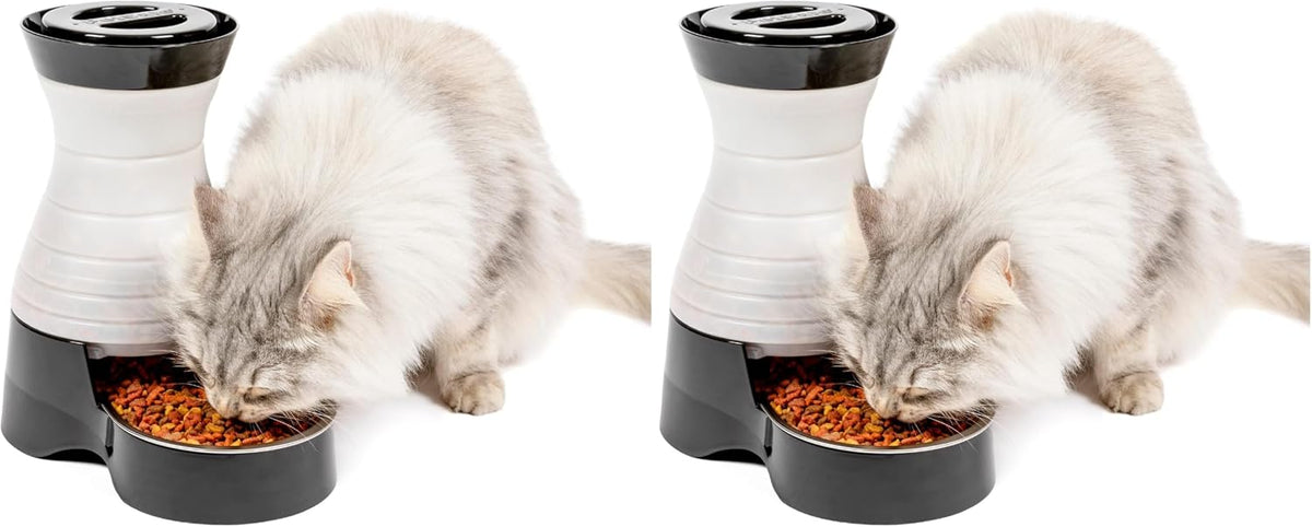 Healthy Pet Food Station, 4 lb Gravity Feeder, Cats & Dogs, Medium