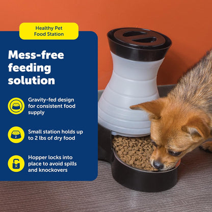 Healthy Pet Food Station, 4 lb Gravity Feeder, Cats & Dogs, Medium