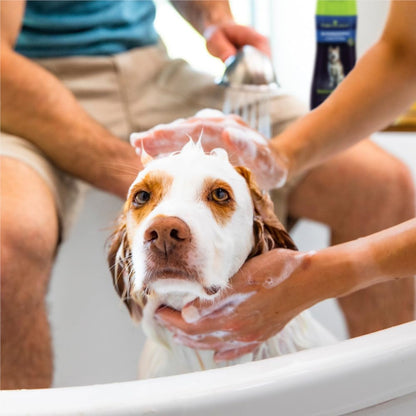 FURminator Ultra Premium deShedding Shampoo for Dogs Helps Reduce Excess Shedding, 16 oz