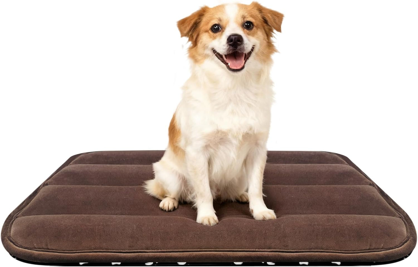 Dog Bed Mat, Reversible Crate Pad & Cute Dog Bed - Machine Washable Kennel Mat with Ultra Soft for Small Dogs (Cool/Warm), 24" x 18", Grey&Star