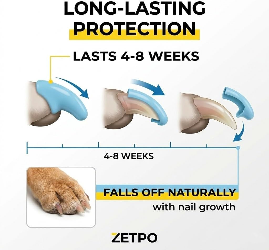 zetpo Dog Nail Caps & Claw Caps (60 pcs) - Anti Slip Dog Toe Grips & Covers for Hard Floors - Instant Traction & Mobility Support for Senior Dogs - Stops Scratches & Reduces Floor Noise (Blue, XXL)