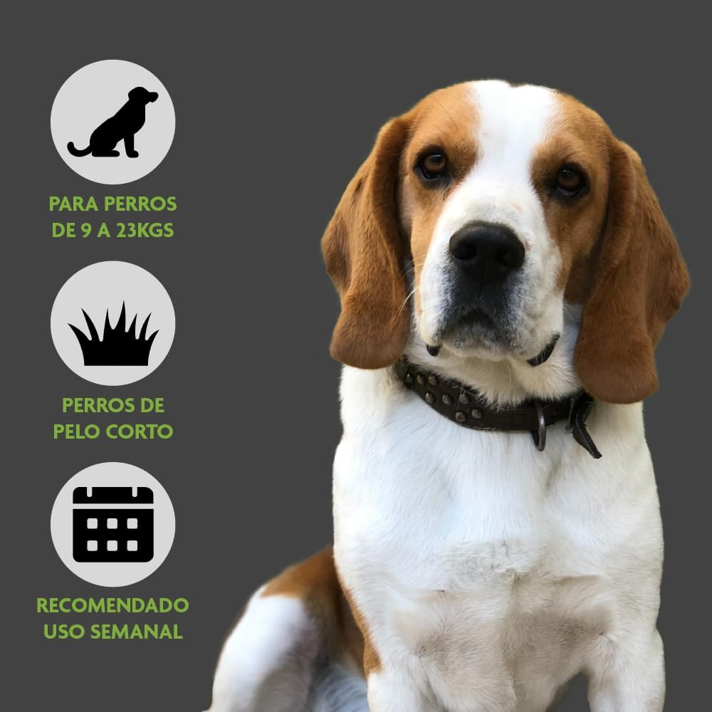 FURminator Large Dog Undercoat deShedding Tool for Short Hair, Reduces Loose Hair From Shedding