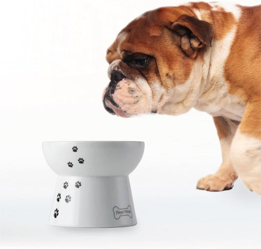 Necoichi Raised Dog Food Bowl, Elevated, for Dogs and Cats, Pets Feeding Feeder Non-Slip for Small Dogs Dishwasher and Microwave Safe, No.1 Seller in Japan! (Dog, Extra Wide Tilted)