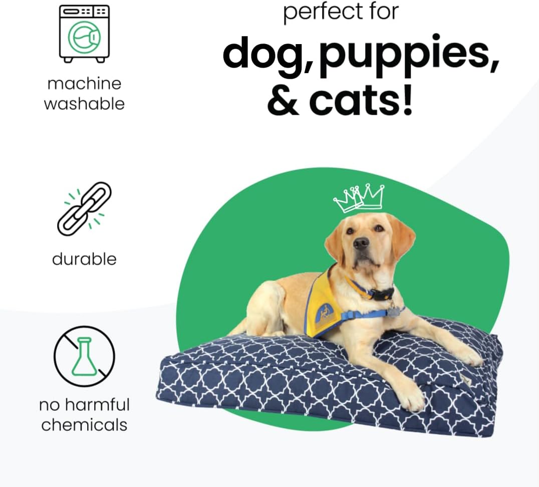Molly Mutt Medium to Large Dog Bed Cover- Forever Young Print - Measures 27”X36”X5’’ - 100% Cotton - Durable - Breathable - Sustainable - Machine Washable Dog Bed Cover (Dd82b)