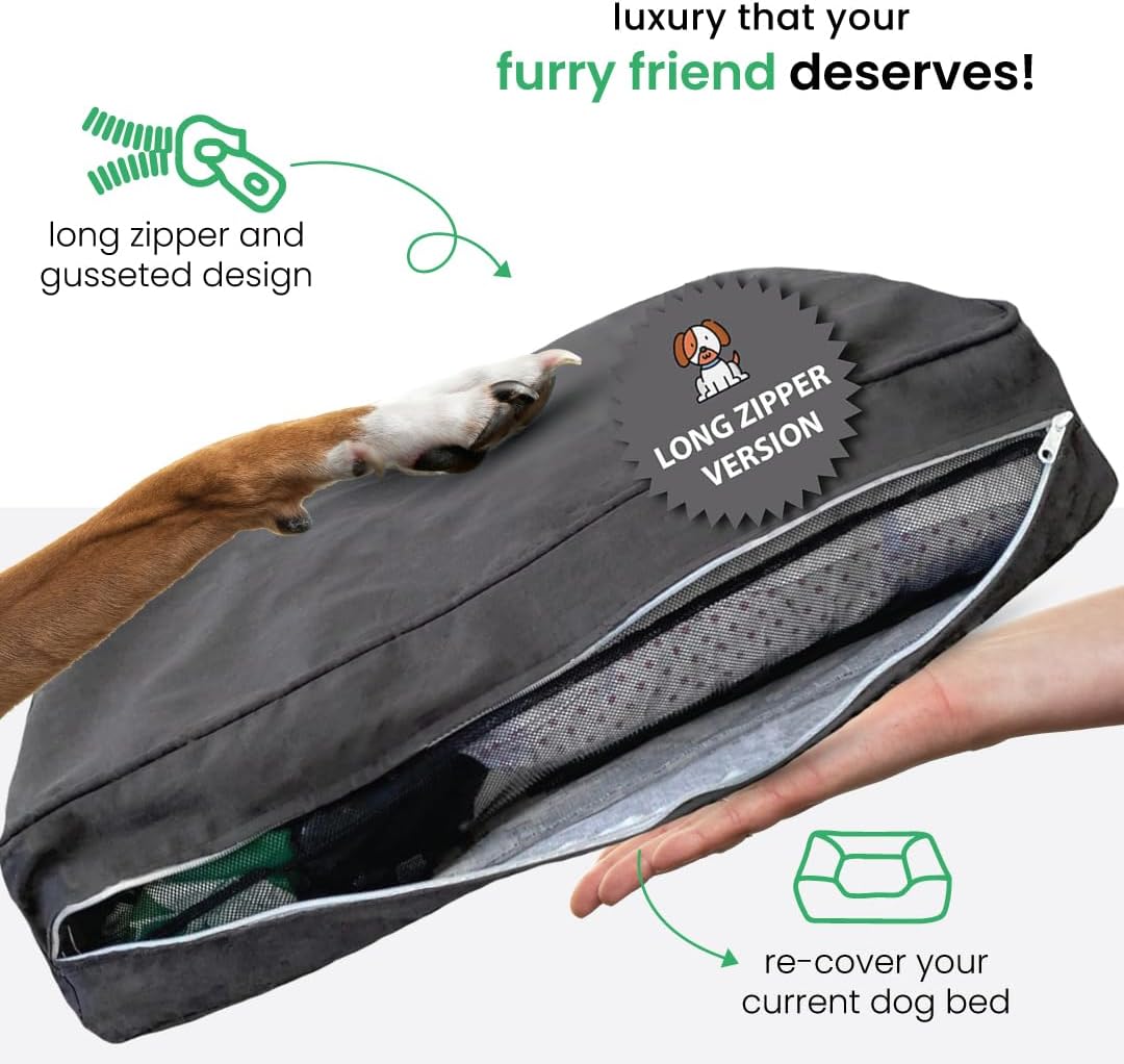 Molly Mutt Medium to Large Dog Bed Cover- Forever Young Print - Measures 27”X36”X5’’ - 100% Cotton - Durable - Breathable - Sustainable - Machine Washable Dog Bed Cover (Dd82b)