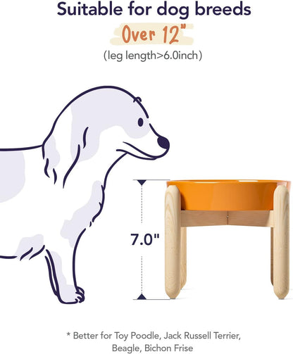 LE TAUCI Dog Bowls Slow Feeder Ceramic, 1.5 Cup Slow Feeding Bowl for Small and Medium Breed, Puzzle Dog Food Bowl for Fast Eater, Maze Purple