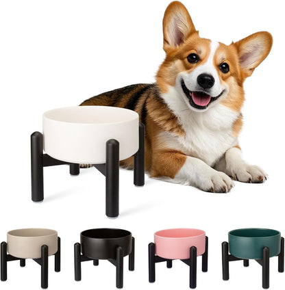 Raised Ceramic Dog Bowl Set - Elevated Double Dishes with Stainless Steel Stand - Food and Water Bowls for Small to Medium Dogs - Each Holds 3.5 Cups (29.57 fl oz) - White