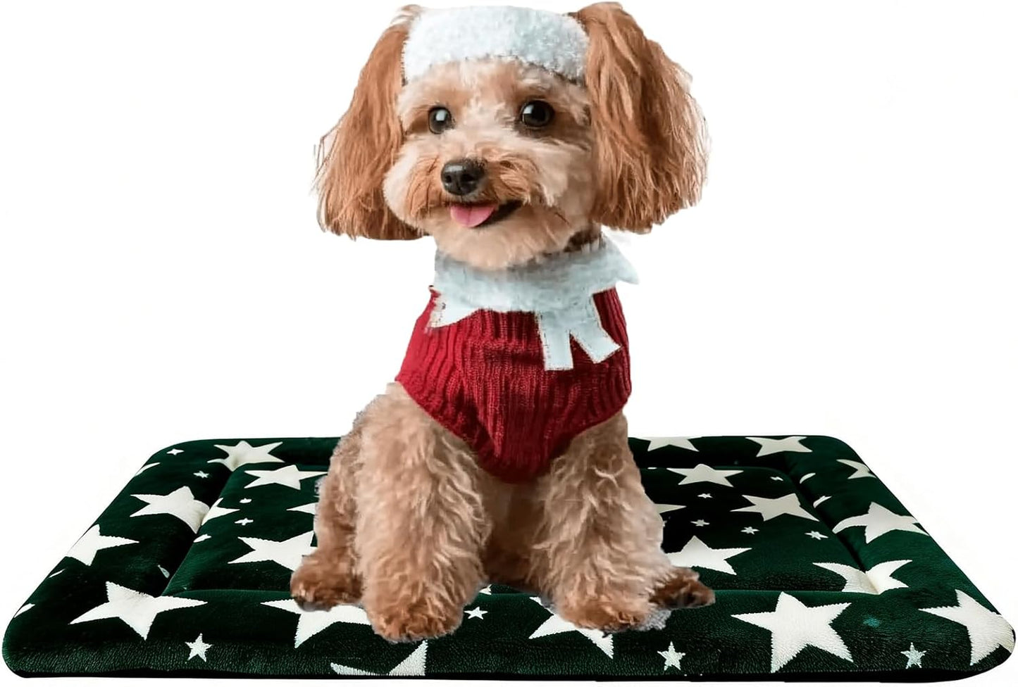 Dog Bed Mat, Reversible Crate Pad & Cute Dog Bed - Machine Washable Kennel Mat with Ultra Soft for Small Dogs (Cool/Warm), 24" x 18", Grey&Star