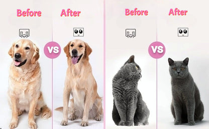 2024 Multifunctional Pet Grooming Brush - 3-in-1 Detangling and Massage Comb for Removing Loose Hair from Cats and Dogs