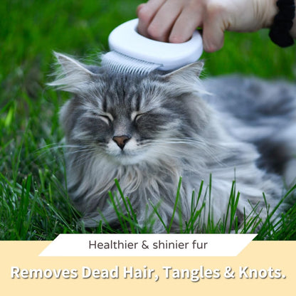 Leo's Paw The Original Pet Hair Removal Massaging Shell Comb Soft Deshedding Brush Grooming and Shedding Matted Fur Remover Dematting tool for Long and Short Hair Cat Dog Puppy Bunny (Mint)