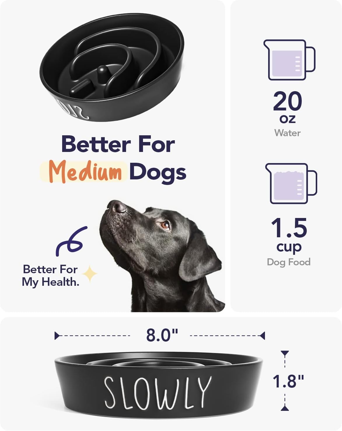Slow Feeder Dog Bowl - 1.5 Cups Ceramic Puzzle Feeder for Small & Medium Breeds, Maze Design Bowl for Puppy & Fast Eaters, White Pet Dish to Control Eating Speed