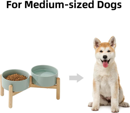 Havniva 8.3inch Ceramic Raised Dog Bowl with Stand, Elevated Dog Bowls for Large Breed Dog Food and Water Bowl Non-Slip Dog Dish Large Capacity Feeding Pet Water Bowl
