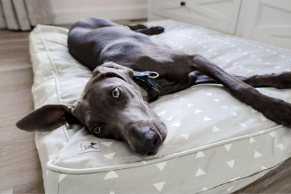 Molly Mutt Medium to Large Dog Bed Cover- Forever Young Print - Measures 27”X36”X5’’ - 100% Cotton - Durable - Breathable - Sustainable - Machine Washable Dog Bed Cover (Dd82b)