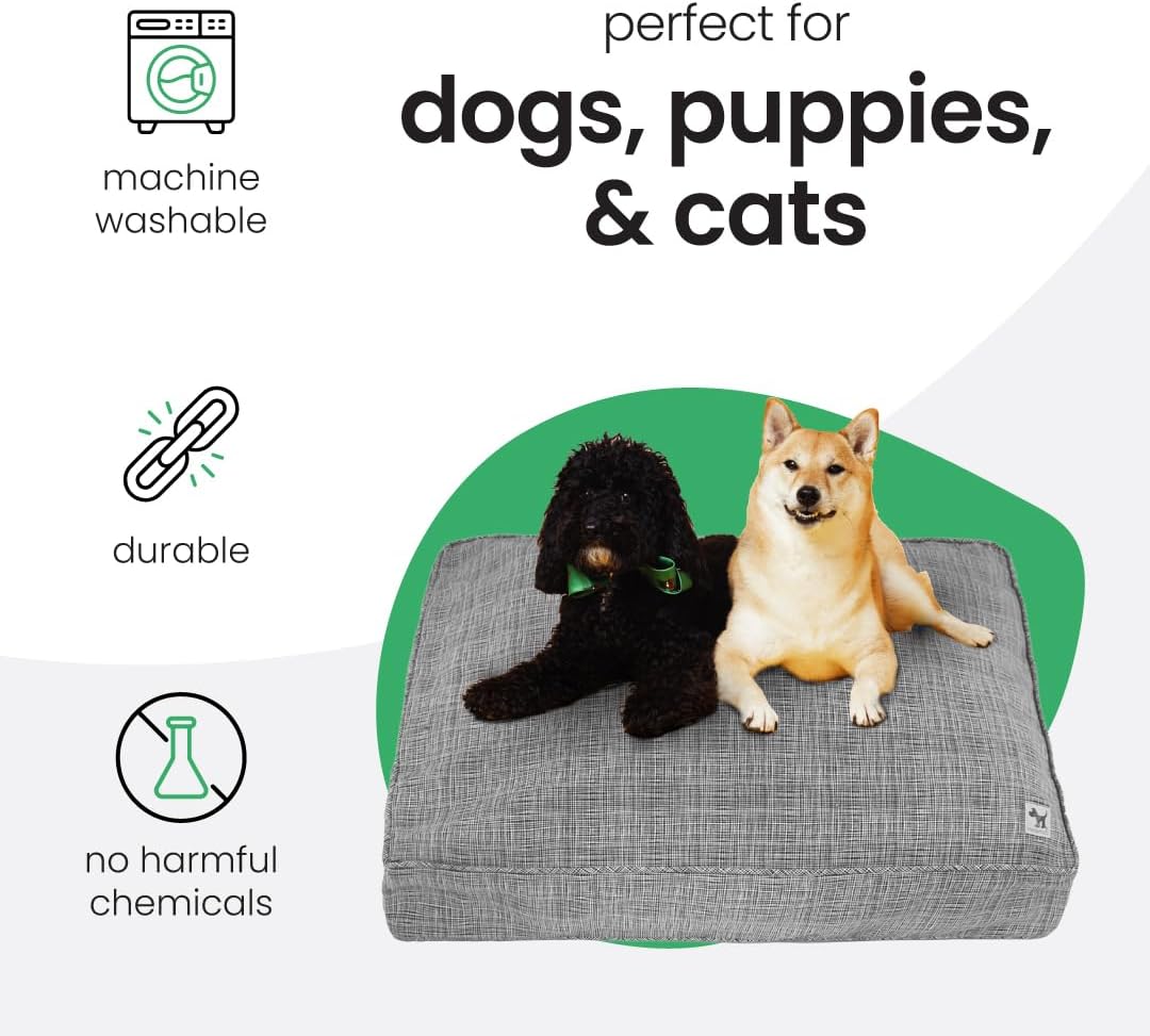 Molly Mutt Medium to Large Dog Bed Cover- Forever Young Print - Measures 27”X36”X5’’ - 100% Cotton - Durable - Breathable - Sustainable - Machine Washable Dog Bed Cover (Dd82b)