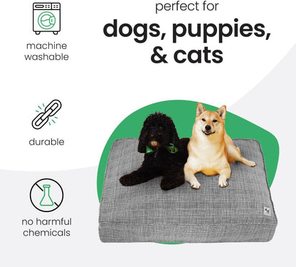 Molly Mutt Medium to Large Dog Bed Cover- Forever Young Print - Measures 27”X36”X5’’ - 100% Cotton - Durable - Breathable - Sustainable - Machine Washable Dog Bed Cover (Dd82b)