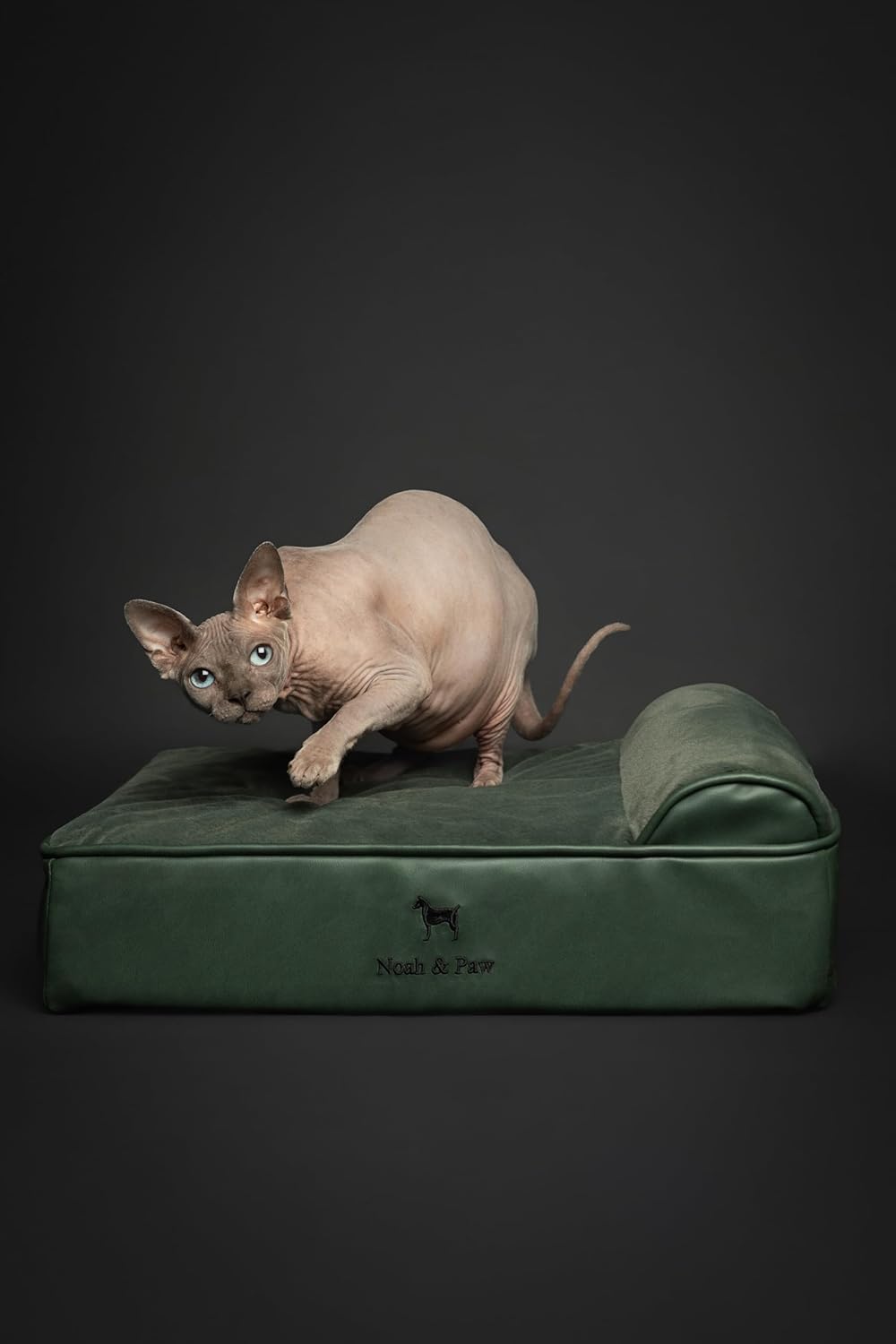 NOAH & PAW Large Dog Bed, 35x25x8.7 Inch, Orthopedic Dog Beds, Eggshell Memory Foam Infused with Cooling Gel, Waterproof, Machine Washable, Includes Inner Cover (Faux Leather)
