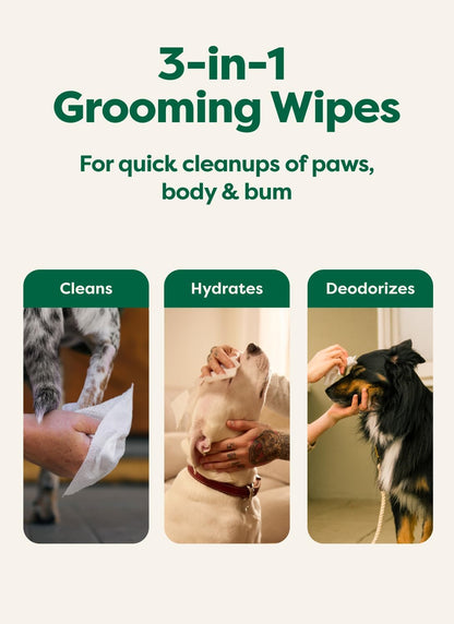 Earth Rated Dog Wipes, Hypoallergenic, Cleaning and Hydrating, for Grooming Paws, Body and Butt, Lavender Scented, 400 Count