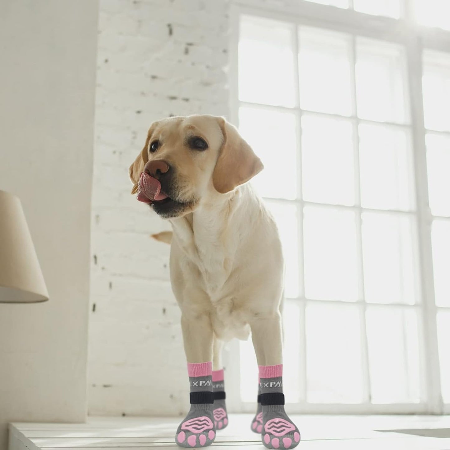 EXPAWLORER 6Pcs Anti-Slip Dog Socks to Prevent Licking Paws,Dog Shoes for Hot Pavement,Dog Booties Traction Control on Hardwood Floor,Boots & Paw Protectors, for Puppy Small Medium Large Senior Dogs