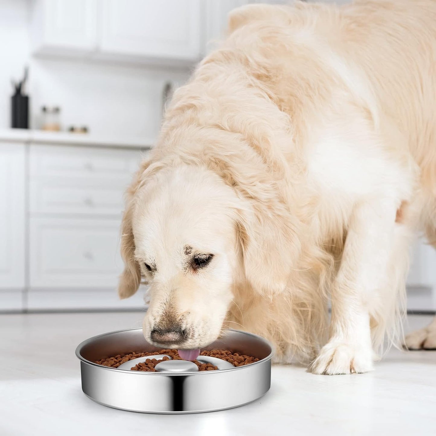 AIPERRO Slow Feeder Dog Bowl Stainless Steel, 2 Cups Metal Non-Slip Dog Food Bowls, Dogs Water Bowl for Small & Medium Sized Dogs, Fun Bloat Stop Pet Bowl for Fast Eaters, Slows Down Pets Eating